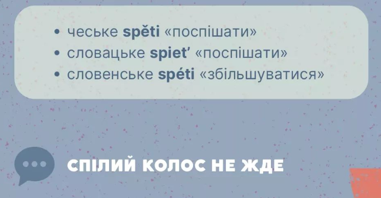 Это не ошибка! 5 слов, которых зря украинцы избегают в речи